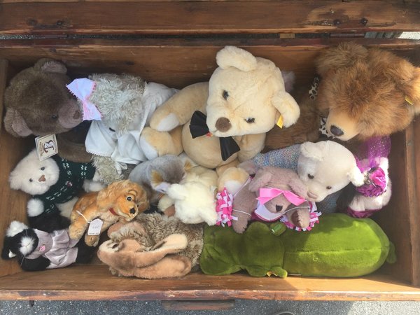 Uncover the cutest plush toys and kawaii finds now!