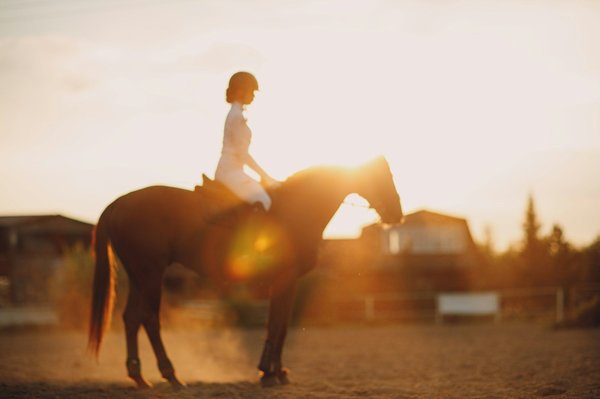 What Are the Best Practices for Implementing a Heart Rate Variability Monitoring System in Horse Racing?